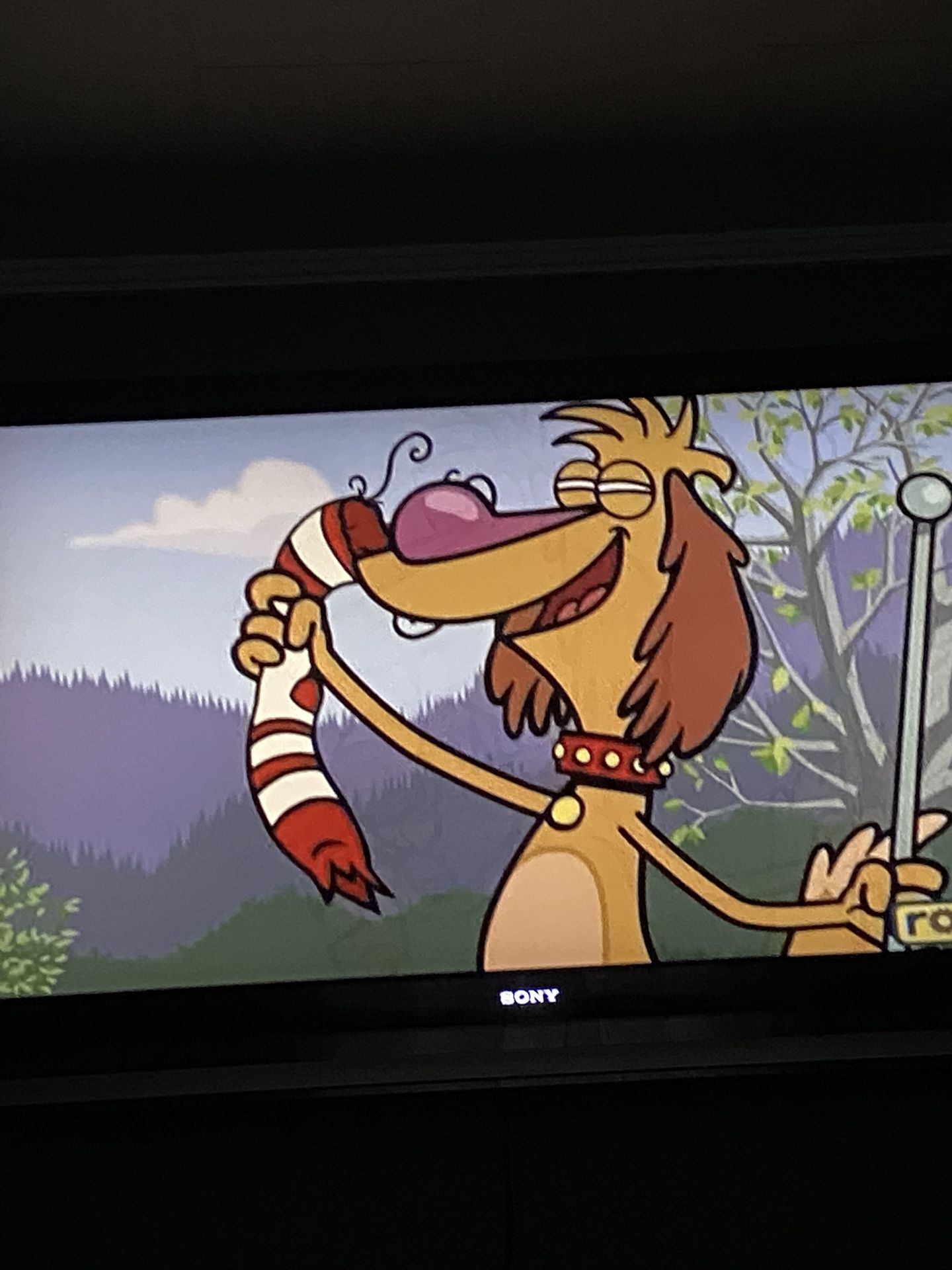 Big Sony 57” Tv. With Remote Works Great. (Not A Smart Tv)