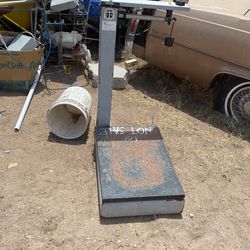 Scale 100 Lbs