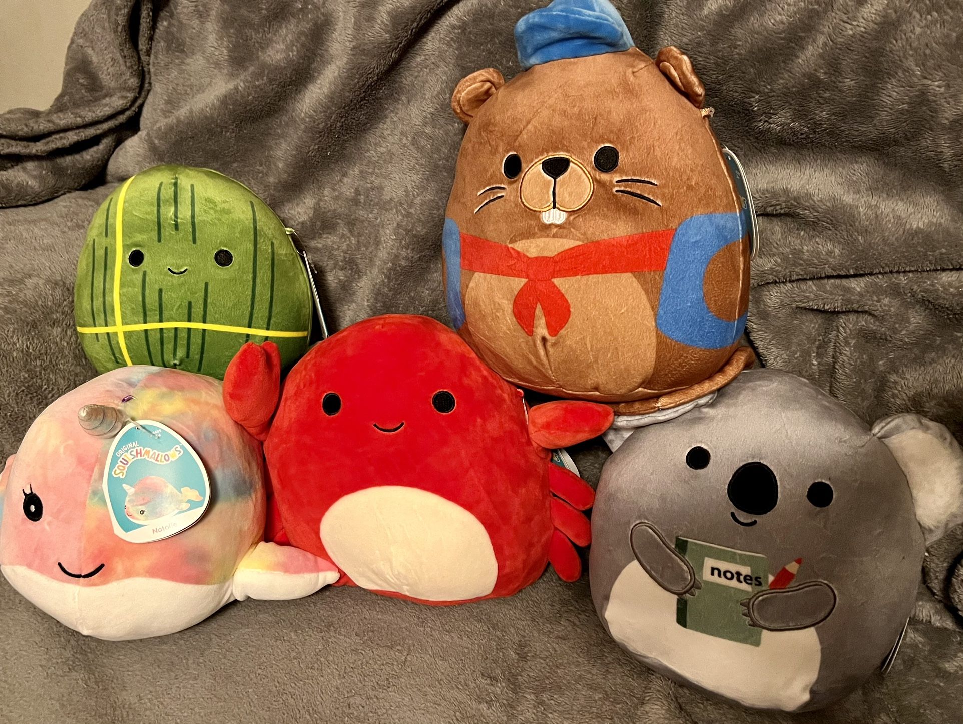 Squishmallows 