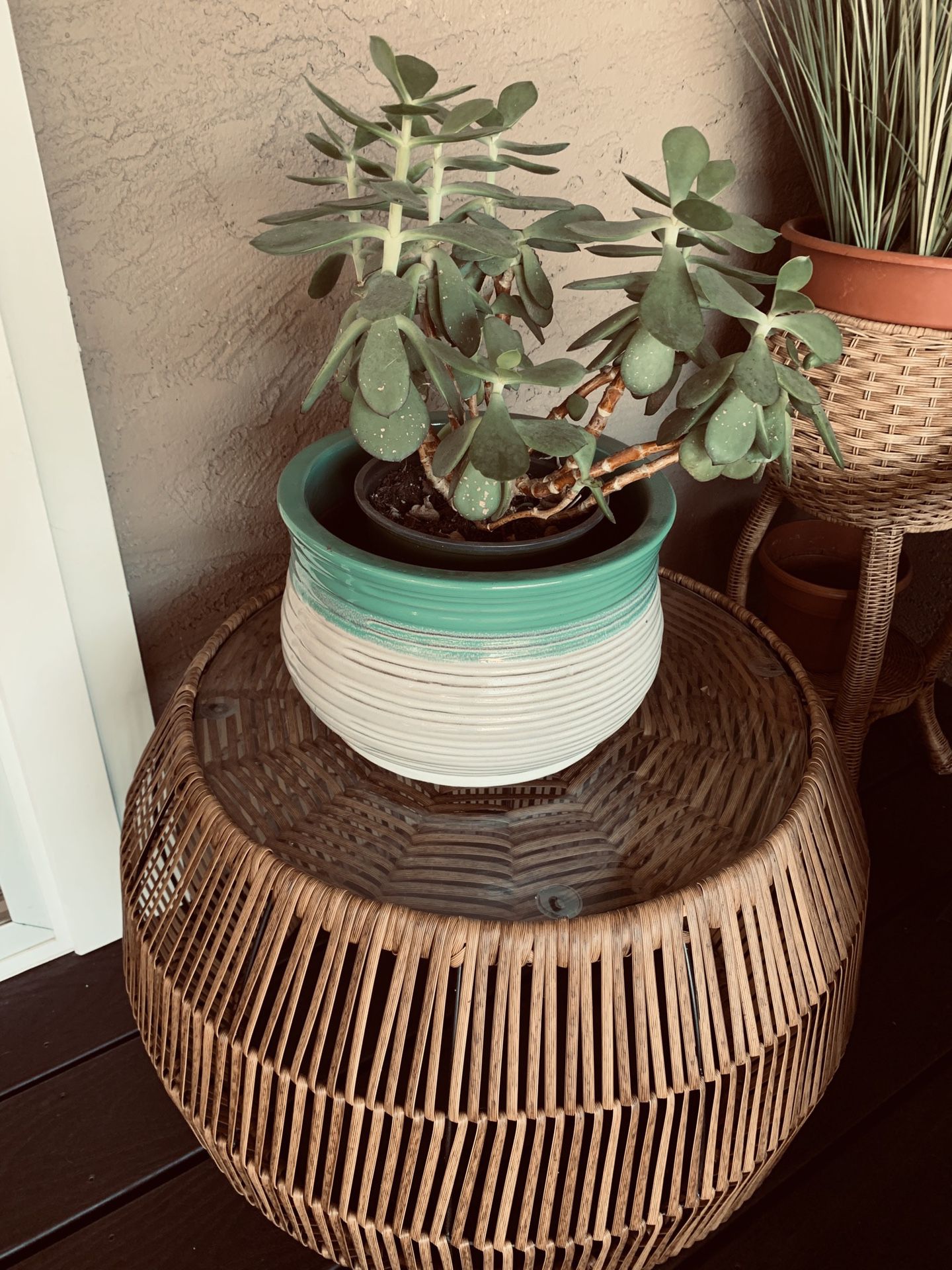 Ceramic Plant Pot or Flower Pot