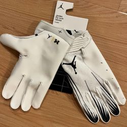 🔥🔥Nike Jordan Michigan Wolverines Fly Lock PE Football Gloves-3XL