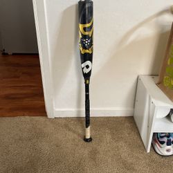 Demarini Bat  