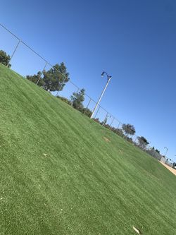 Turf For Sale With Installation