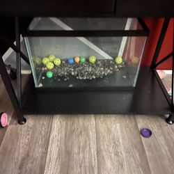 10 & 20 Gallon Fish Tank 