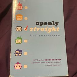 Openly Straight By Bill Koingsberg 