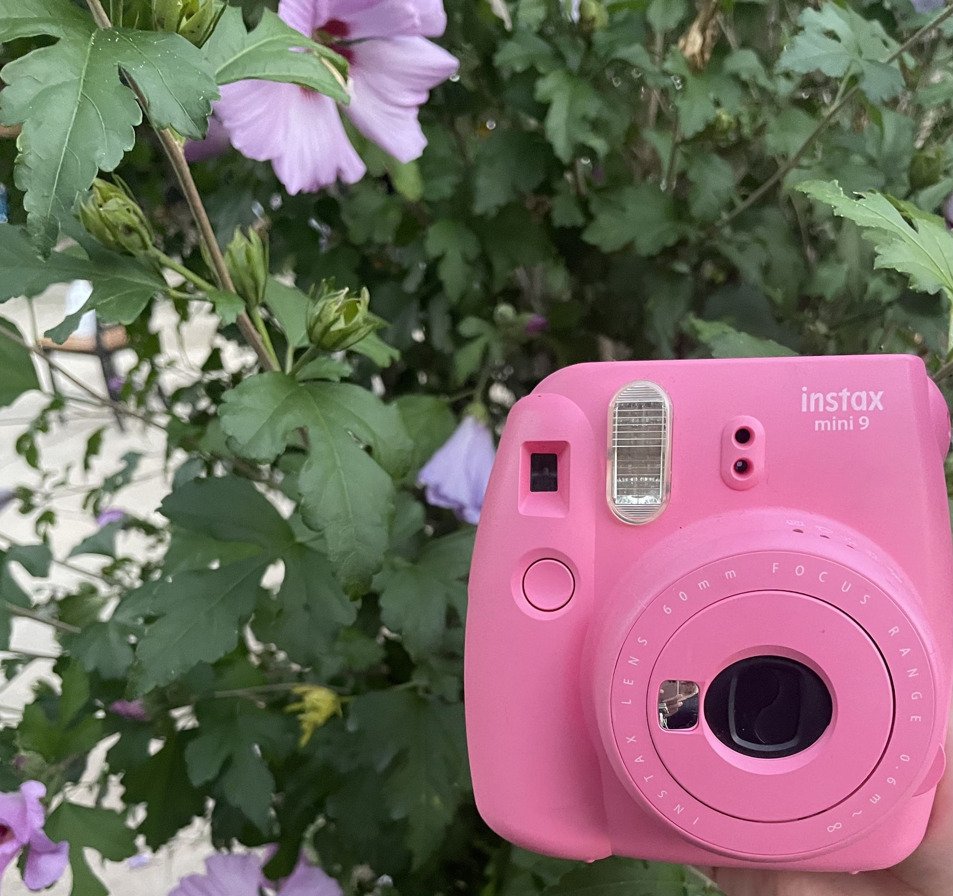 Pink Mini 9 Instax