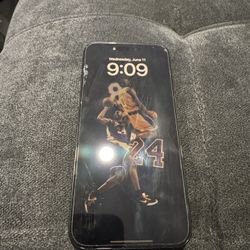 Apple iPhone 15 Pro Max 256GB(Verizon Unlocked)