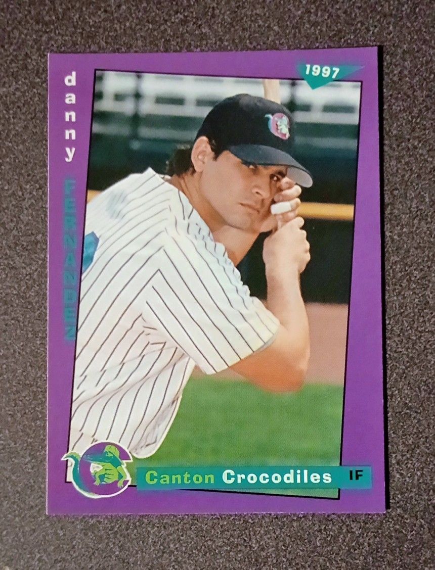 1997 Danny Fernandez Canton Ohio Crocodiles #8 Premier Edition Frontier League Baseball Card Vintage Collectible Sports