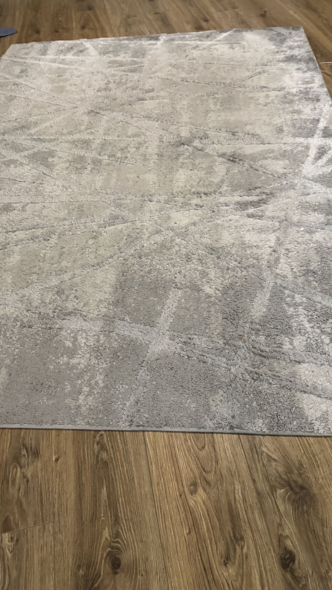 Modern Gray Area Rug