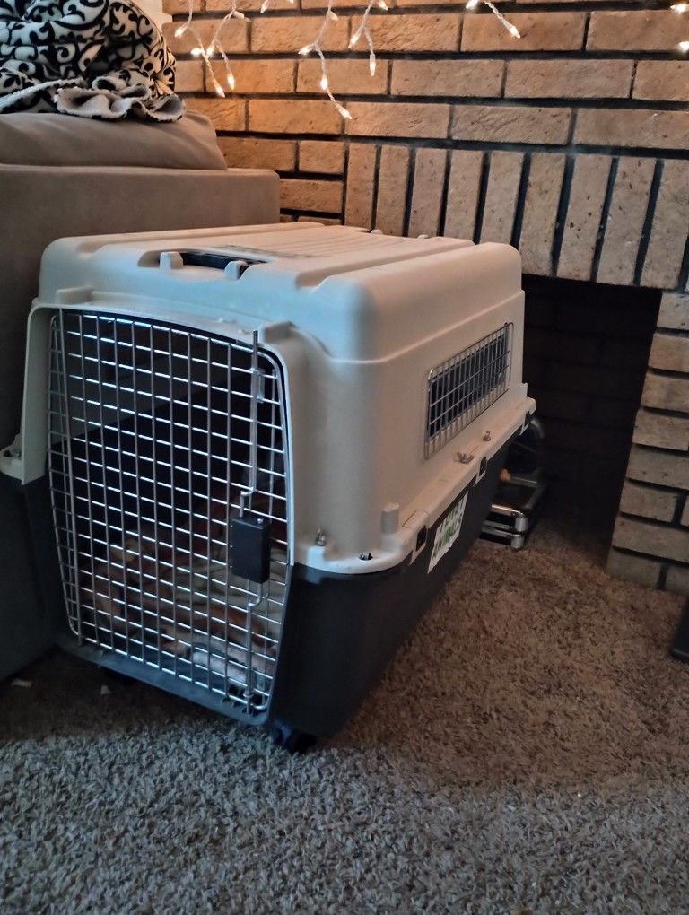 Dog Kennel On Wheels.