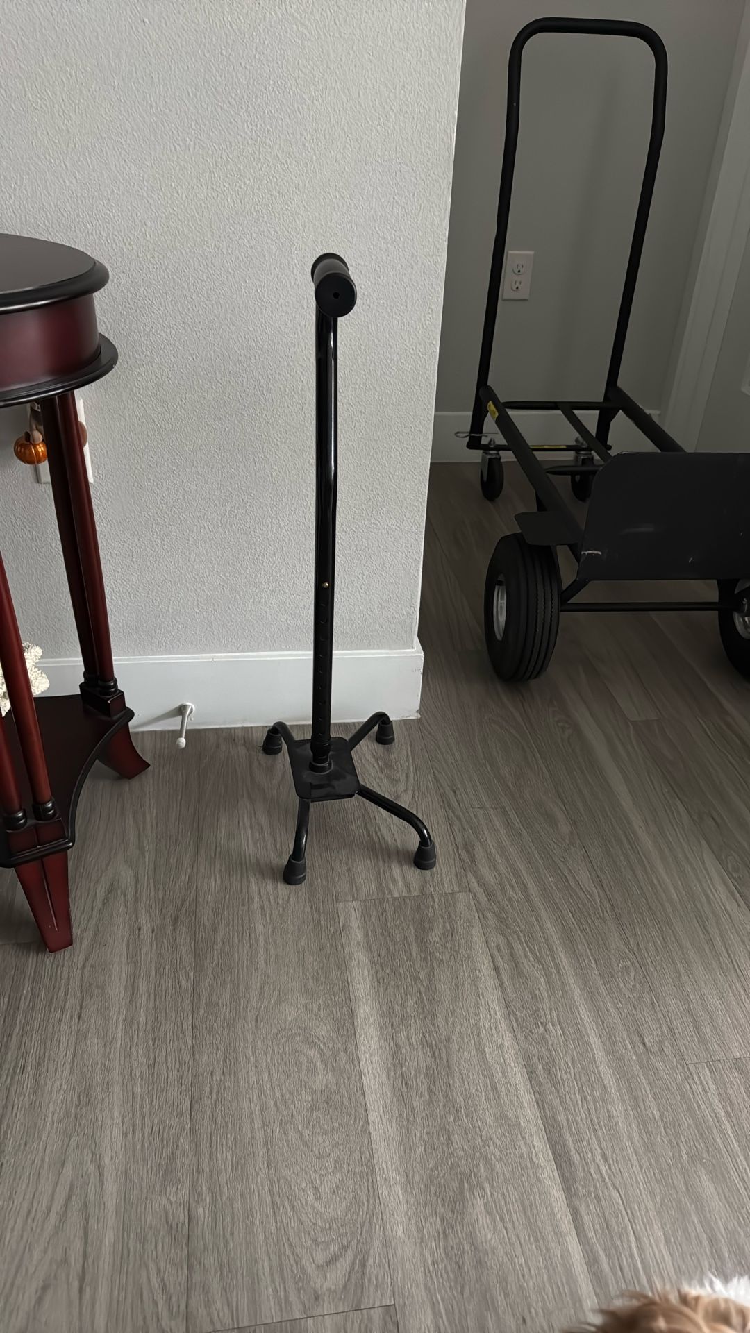 Nice, Heavy Duty Cane (Like New!)