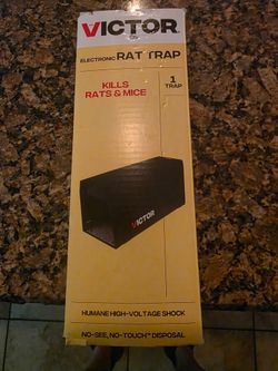 Electronic rat trap