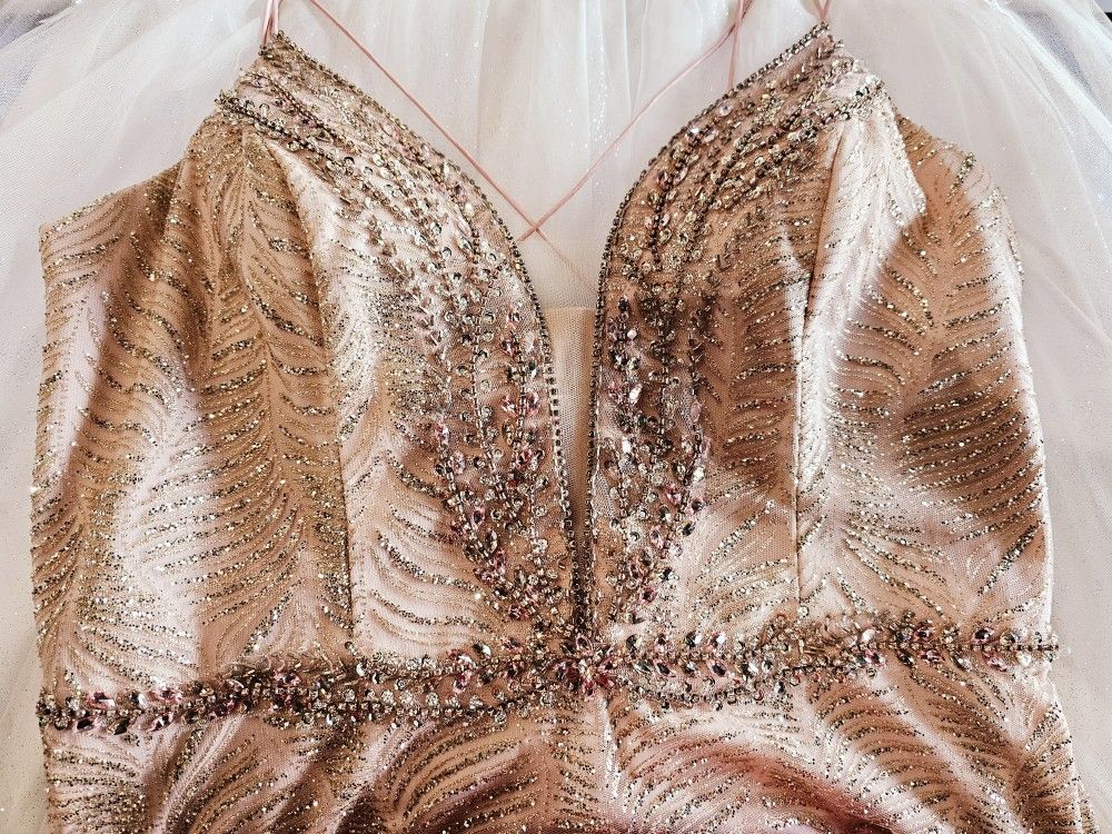 3X Rose Gold Embellished Deep V neck Trumpet Dress / Prom/ party dress/glam dress/evening dress 3X Rose Gold Embellished Deep V neck Trumpet Dress / Prom/ party dress/glam dress/evening dress