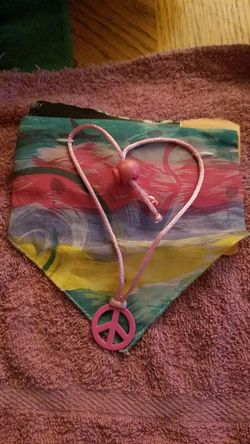 Brand new dog bandana and necklace.