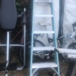 Werner 6ft  Ladder