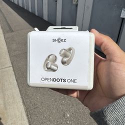 Shokz opendots one