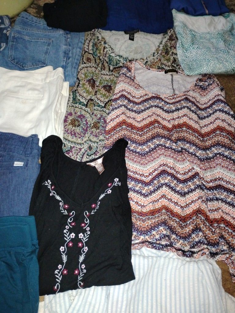 Women's Clothes Lot $50 (Approx 200pc)