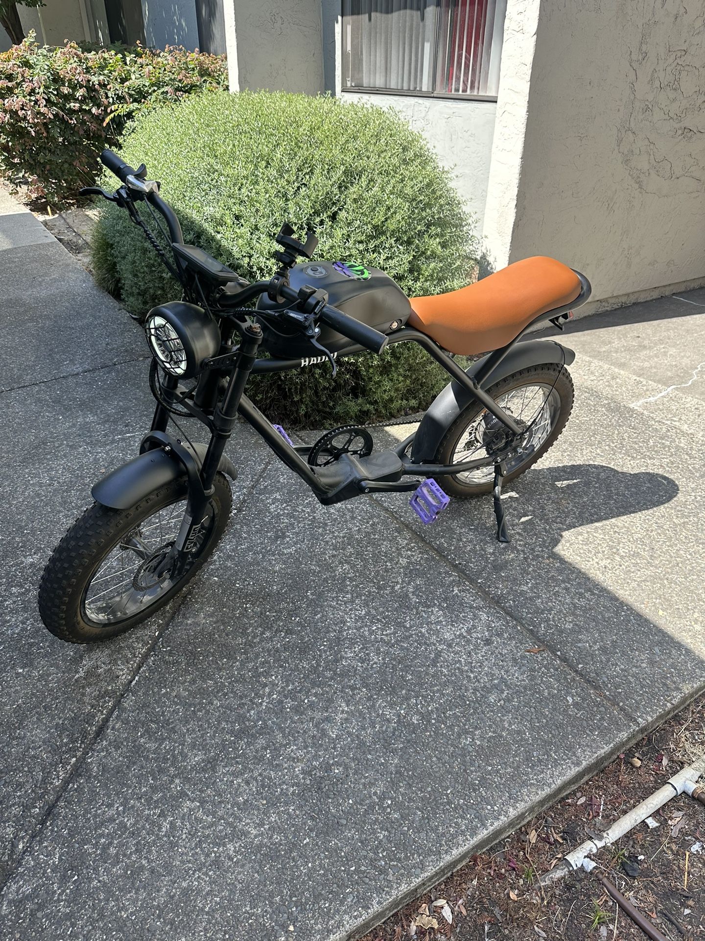 Hoaqi Rhino E-bike