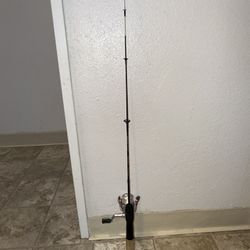 Shakespeare Ugly Stick 