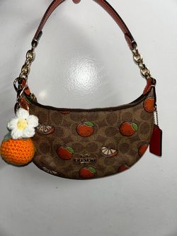 Coach mini purse