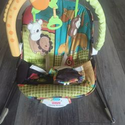 Baby Boy Bouncer