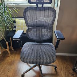 Ergonomic Office Chair - Blk/Gry Mesh