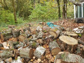 Free Wood Loaded On Your Truck/trailer