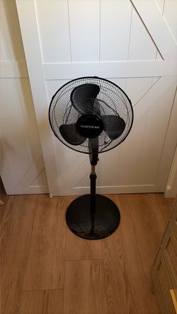 Hampton Bay Black Pedestal Standing Fan
