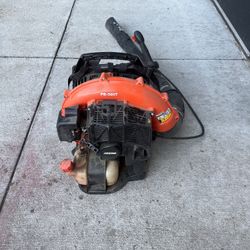 Echo Back Pack Blower! (Great Condition)