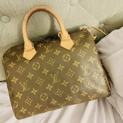 Louis Vuitton Canvas Bag