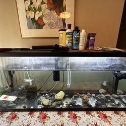 55 Gallon Fish Tank 