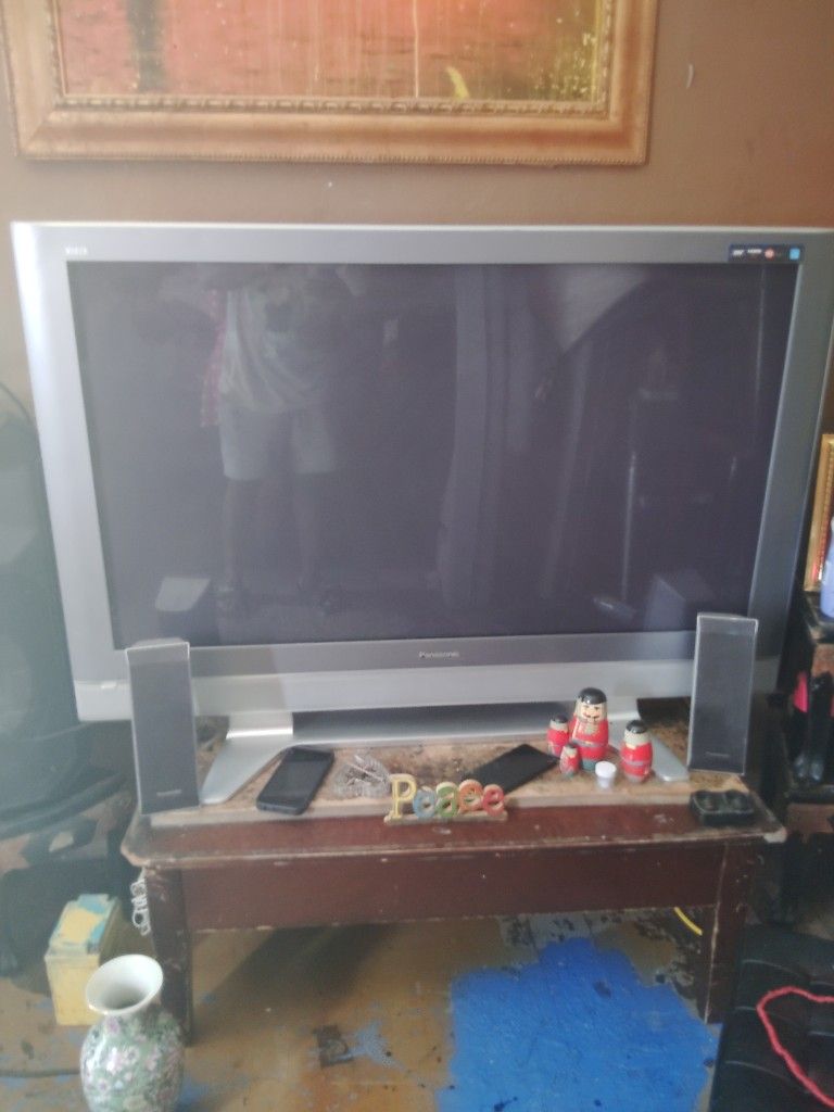 Silver 45" Panasonic TV With Surround Sound
