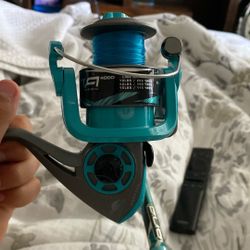 Fishing Reel And Fish Pone 