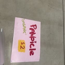 Pawpcicle Sign Zootopia 