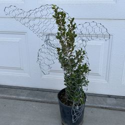 Wire And Plant Dolphin 🐬 Yard Decoration 