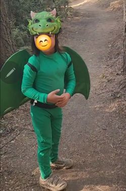 Kids Green dragon costume