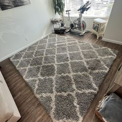 Thomasville Area Rug