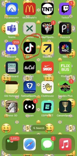 iPhone 14 Pro Max Tik Tok Downloaded