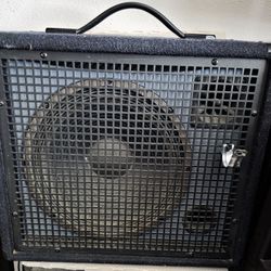 Roland KC-100 Keyboard Amp Trade For Positive Grid Spark 2