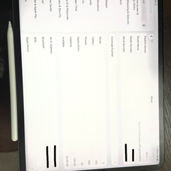 iPad Pro 12.9 inch