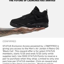 Jordan 4 Black Cat Size 9.5M 2025 Release 