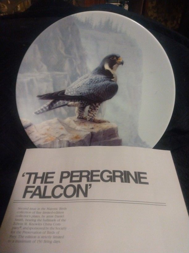 The Peregrine Falcon Collectors Plate