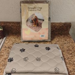 2pc large size pet training pads