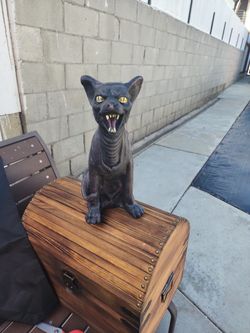 Spooky cat