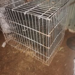 Dog Cages
