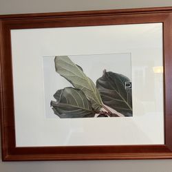 Wooden Picture Frames (4x) 