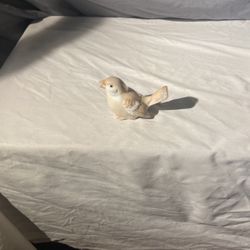 Small Bird