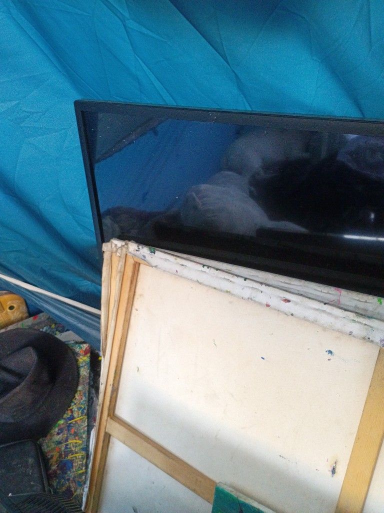 LG Flat Screen 80 In