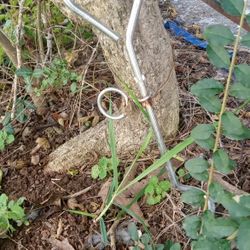 Tie Down Screws In The Ground 