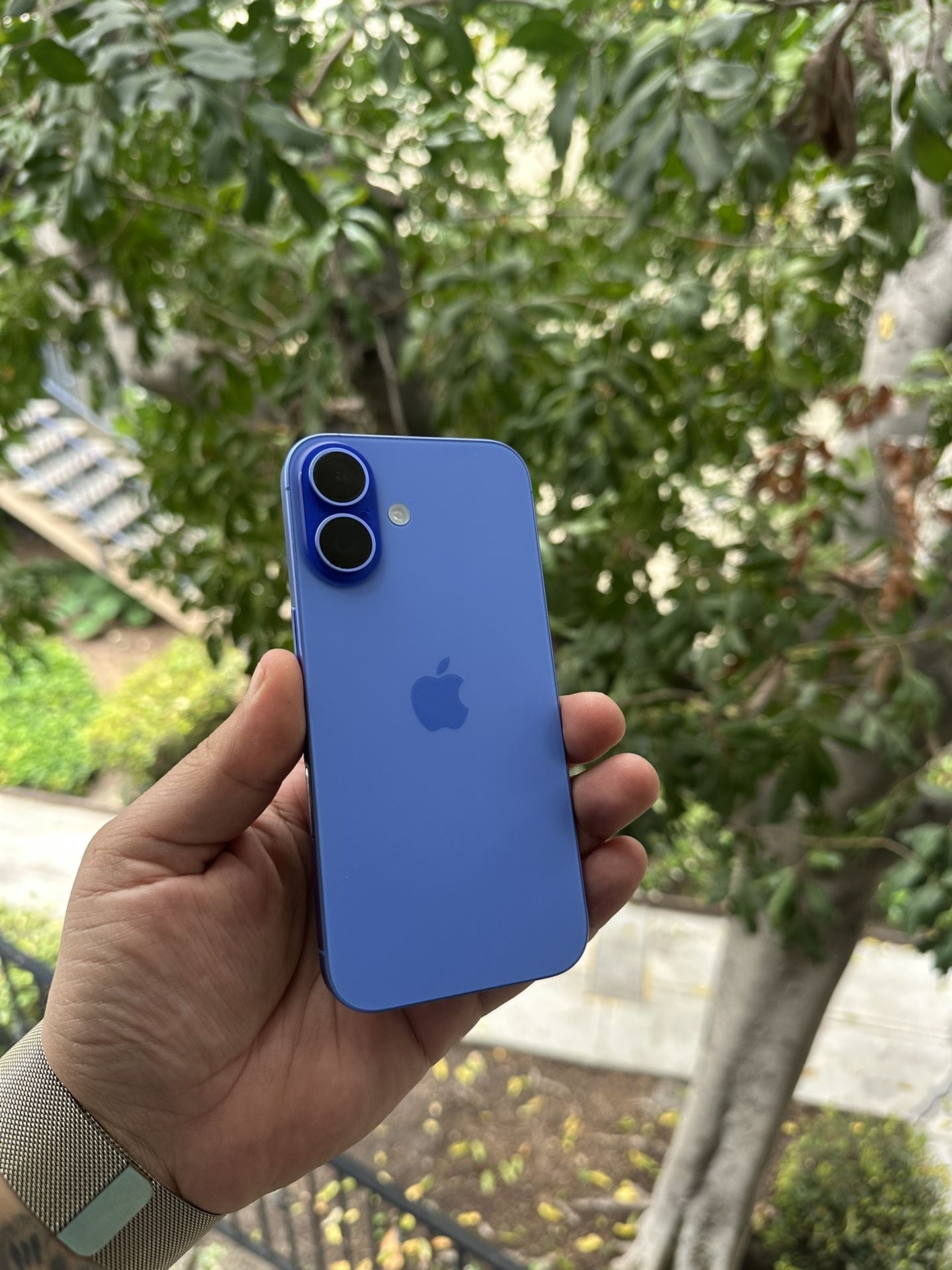 iPhone 16 128 Gb Unlocked 
